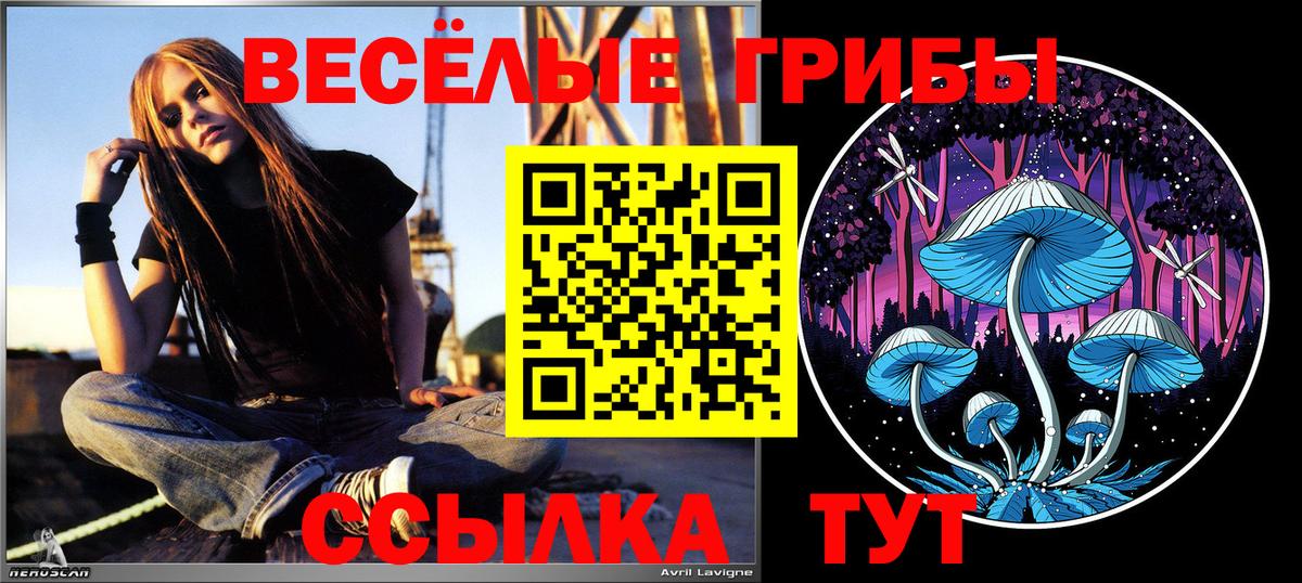 Галлюциногенные грибы Psilocybine cubensis Сердобск
