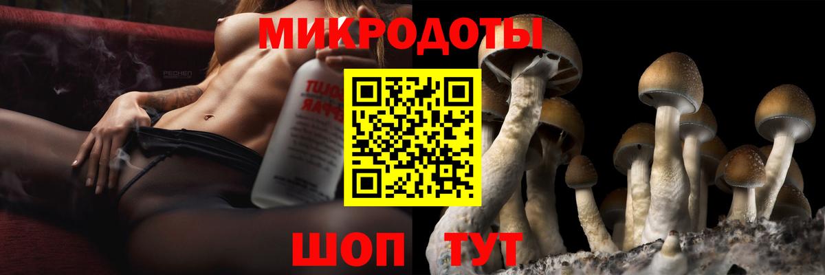 Галлюциногенные грибы ЛСД  Галлюциногенные грибы Psilocybe  Вход с VPN  Сердобск 